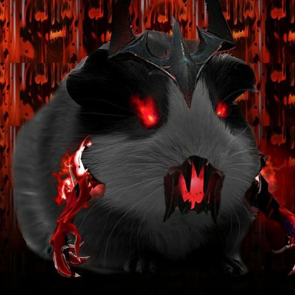 Tor4eb3s52