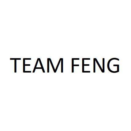 TEAM FENG