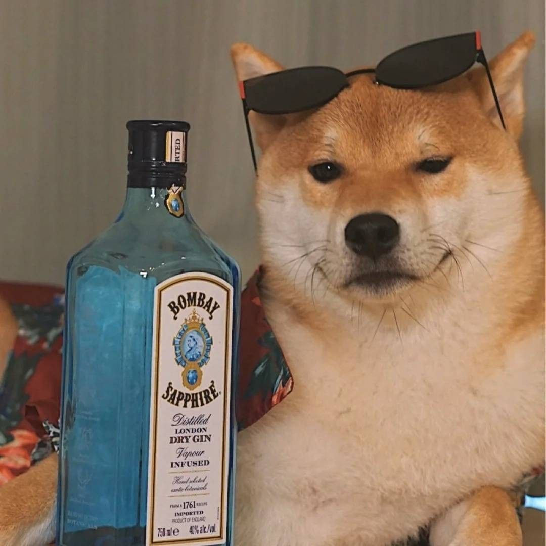 XXDXDXDXDXXX
