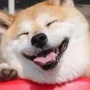 XXyom
