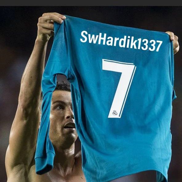 swHardik1337 avatar