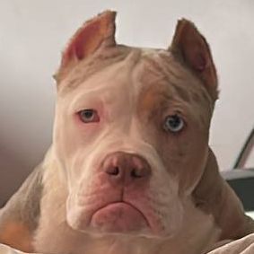 Esko8aR