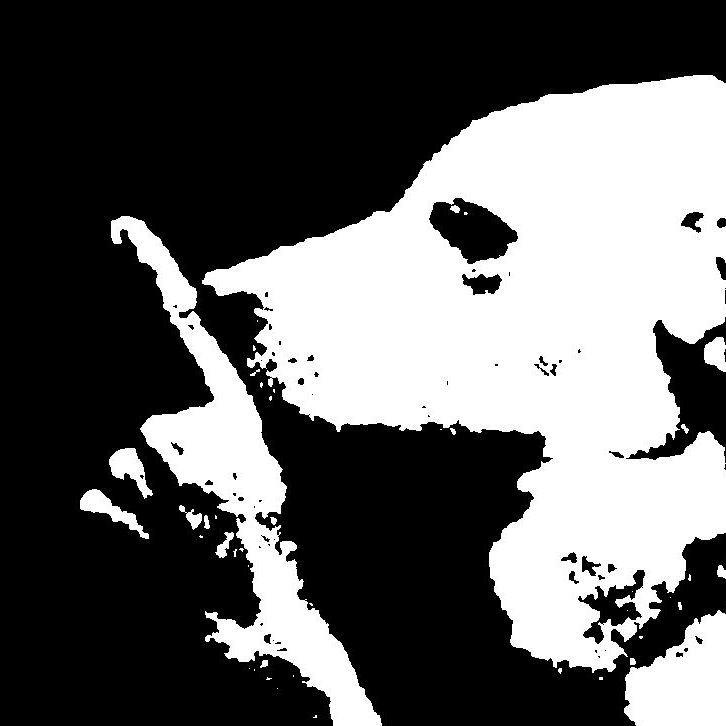 w0rthlessk1d avatar