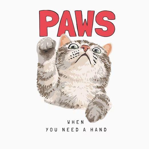 Player have_paws avatar