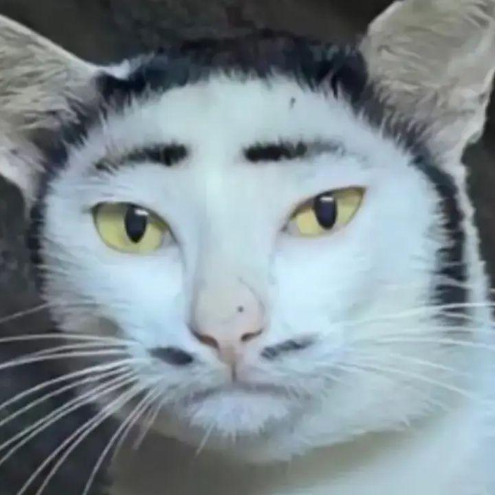 eee999 avatar