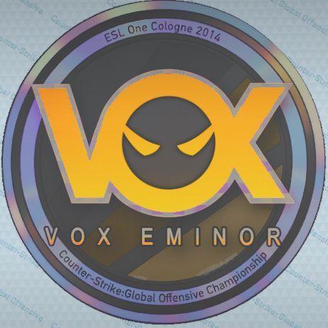 Player VoxHolo avatar