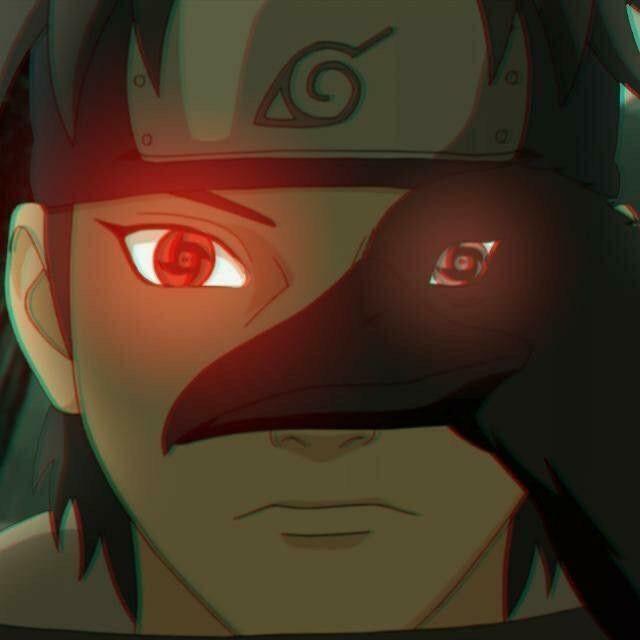 kubameisteer avatar