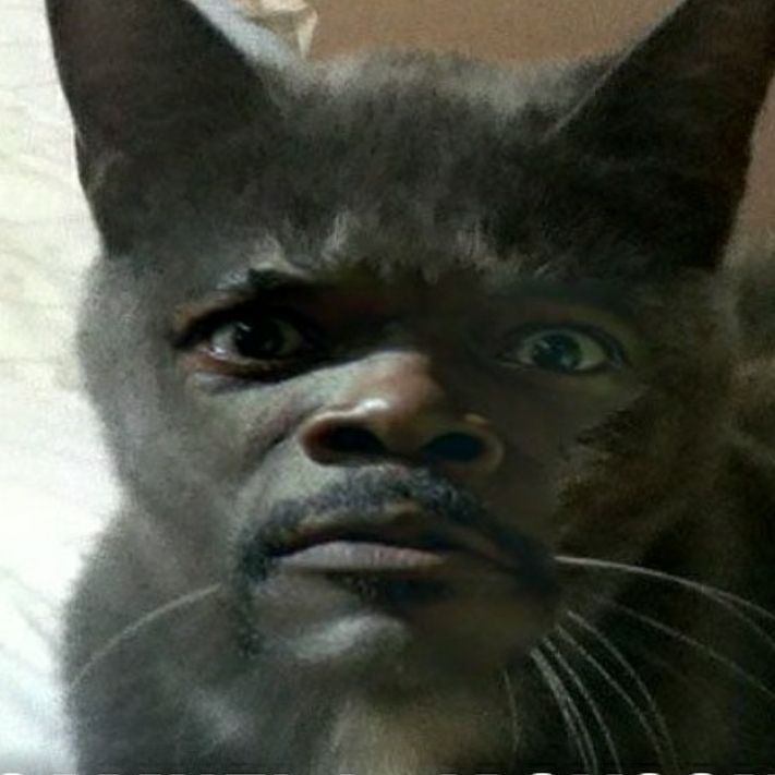 nuuskatti