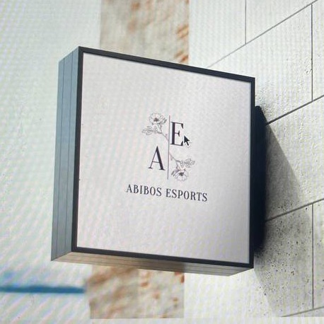 AB1B0S ESPORTS