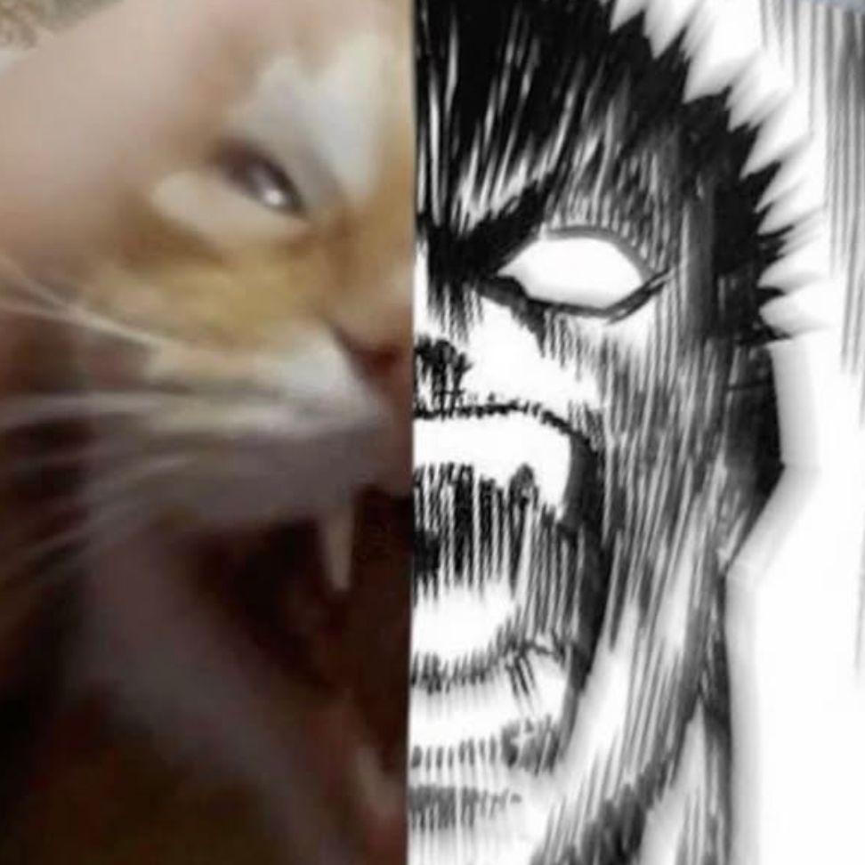 KtTheLegend avatar