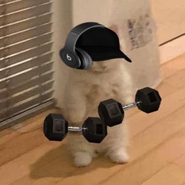 itoshiSae22 avatar