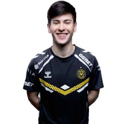 doniktoja avatar