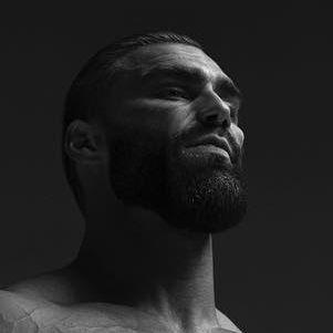 Vertil avatar