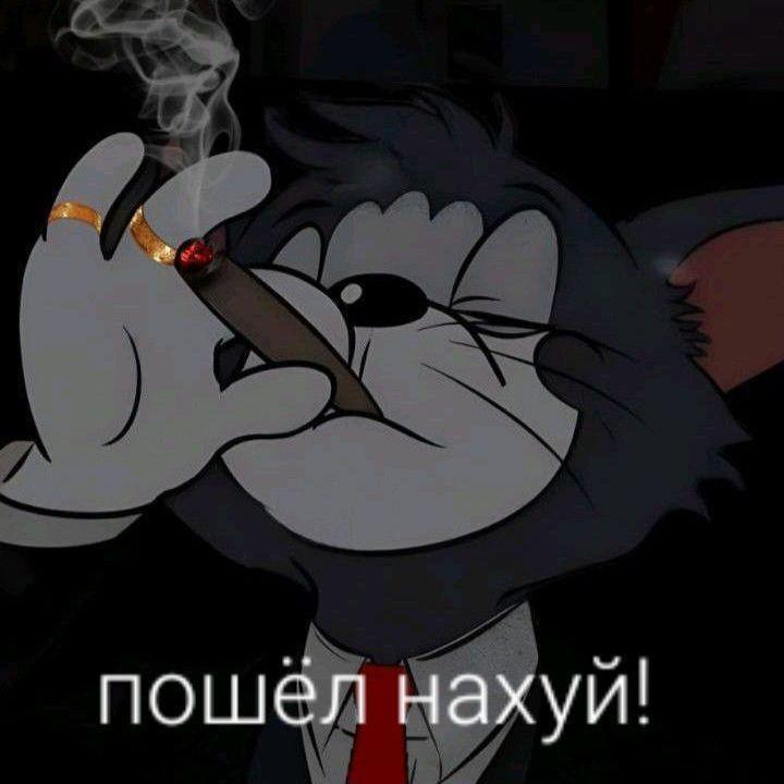m1rass04 avatar