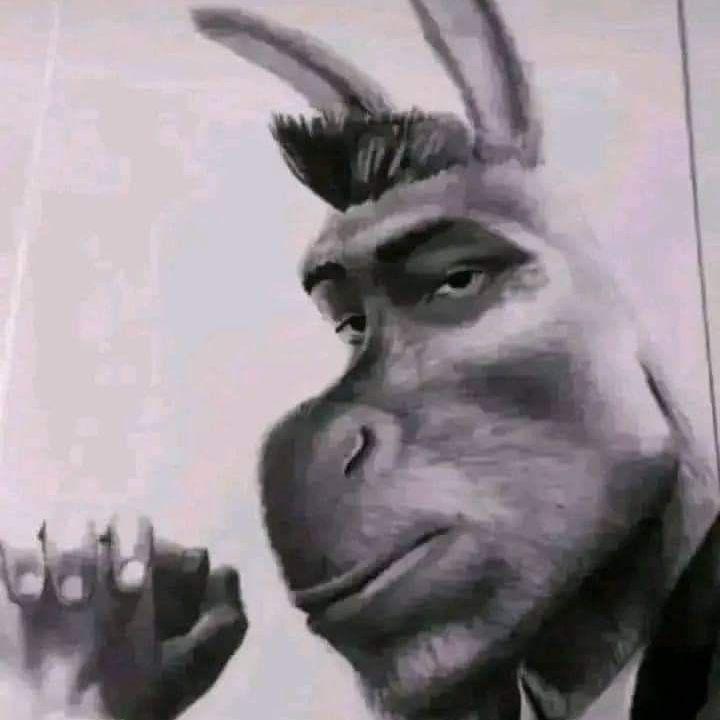 terrific avatar