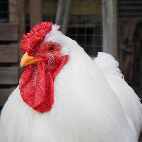 kxzer1703 avatar