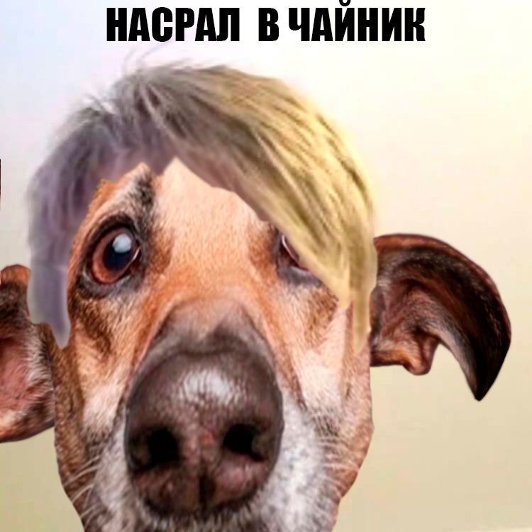 KoRzhiikkk