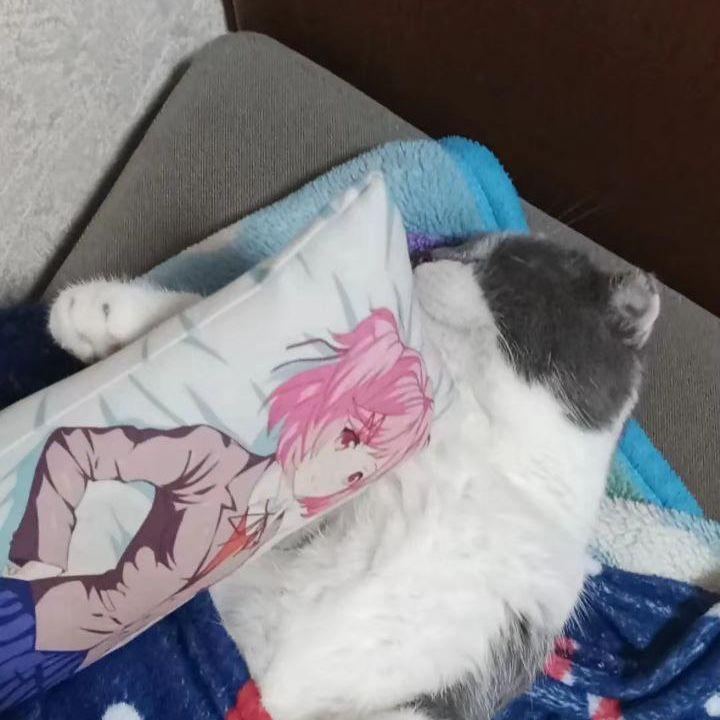okakXD