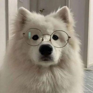 doppss avatar