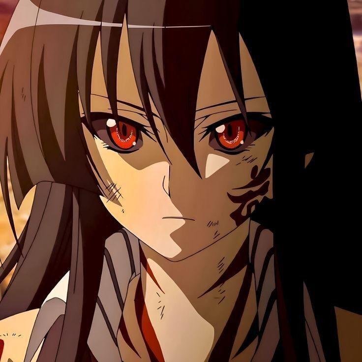 akashifv avatar