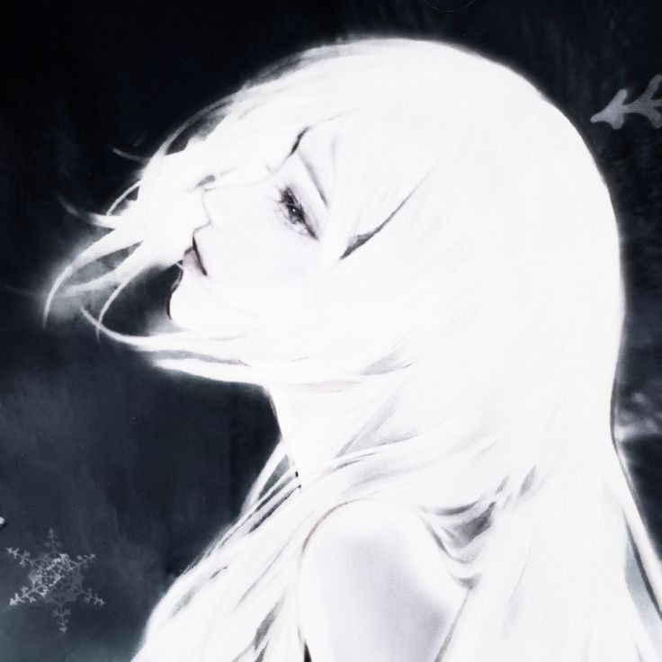 novoid_