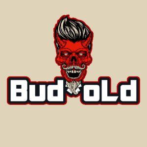 Player Bud_oLd avatar