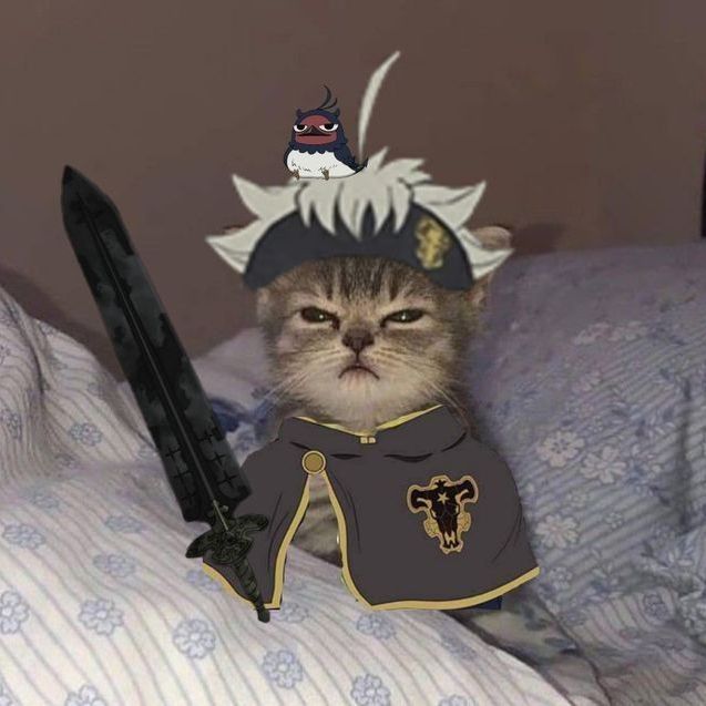 Slavexz avatar