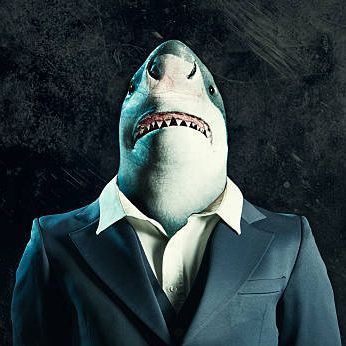 GloSharkz avatar