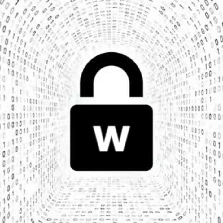 Wamgo avatar