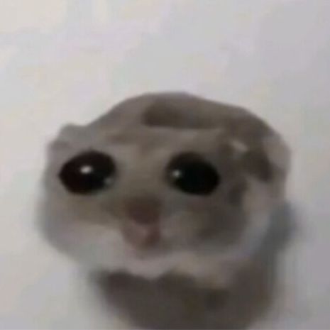 KAKTUS_TZM