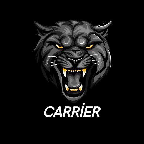Player xcaRRieR avatar