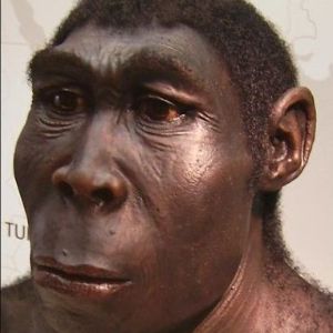 podortfaRok
