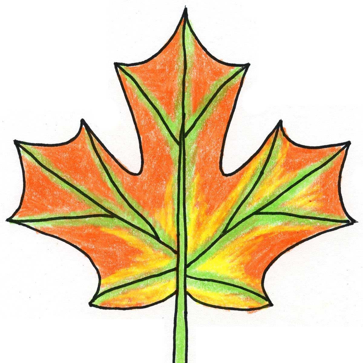 Balsas