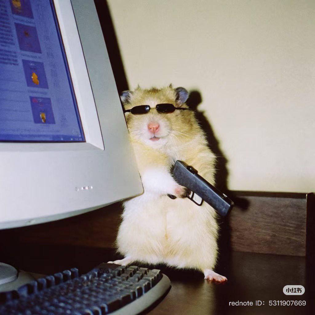 lncurs1o avatar