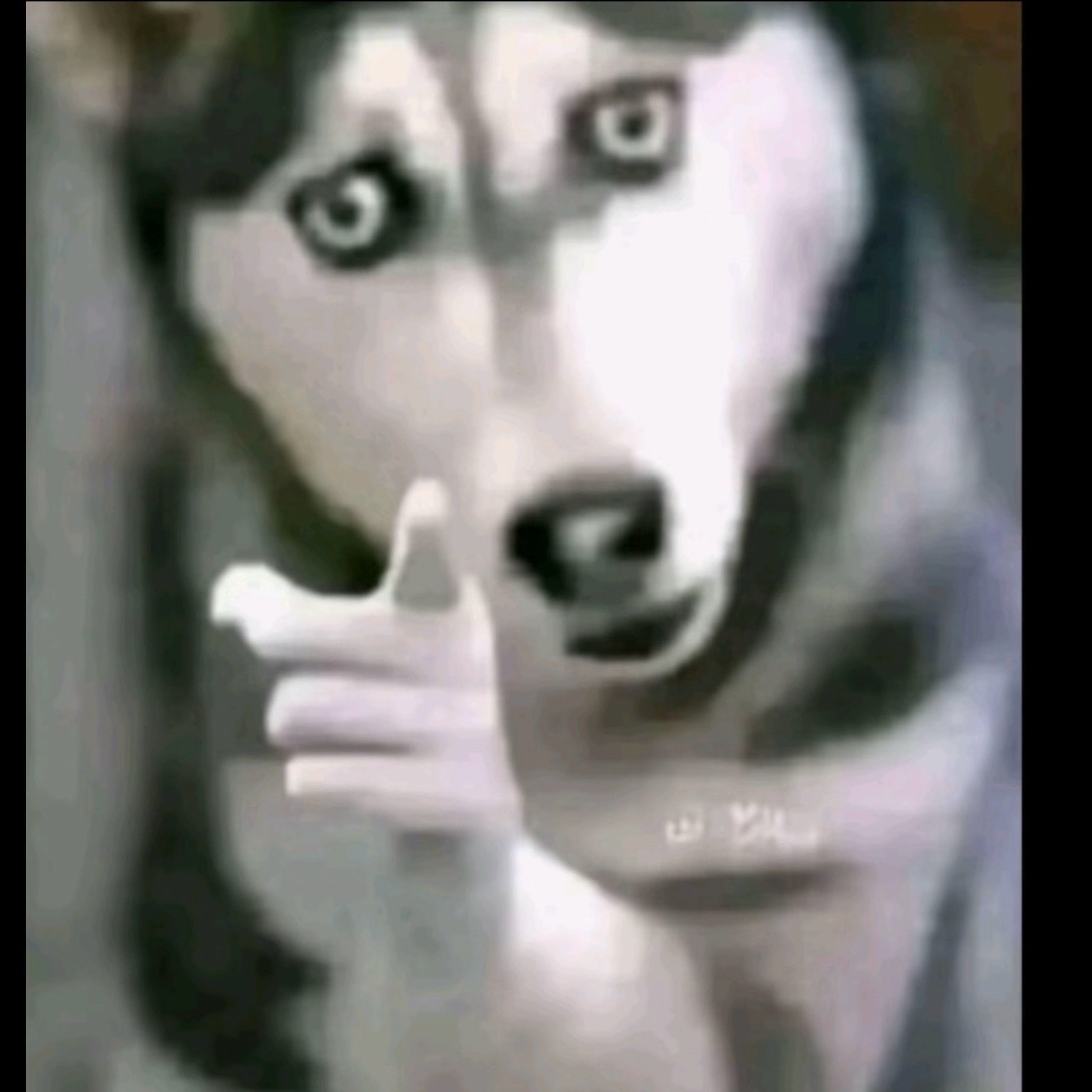 Tw1XoR