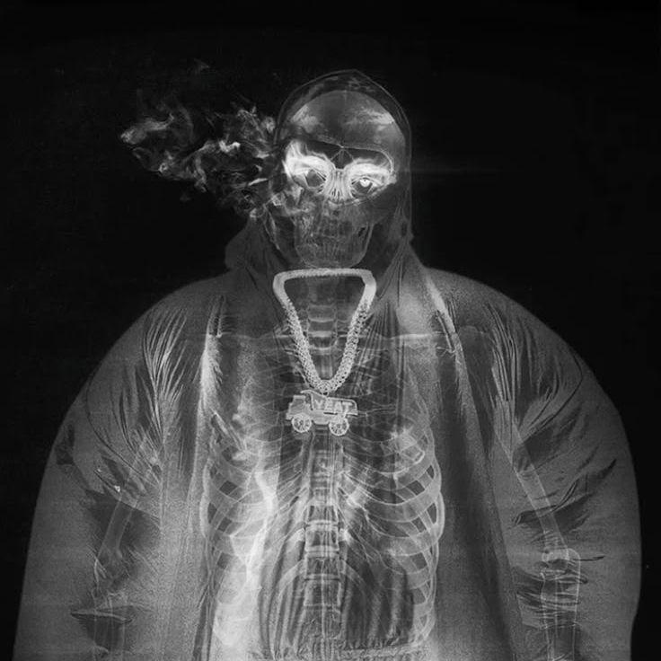 ChamsouDZ avatar