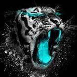 Black-_Tiger avatar