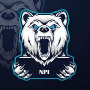 Player NPI42 avatar