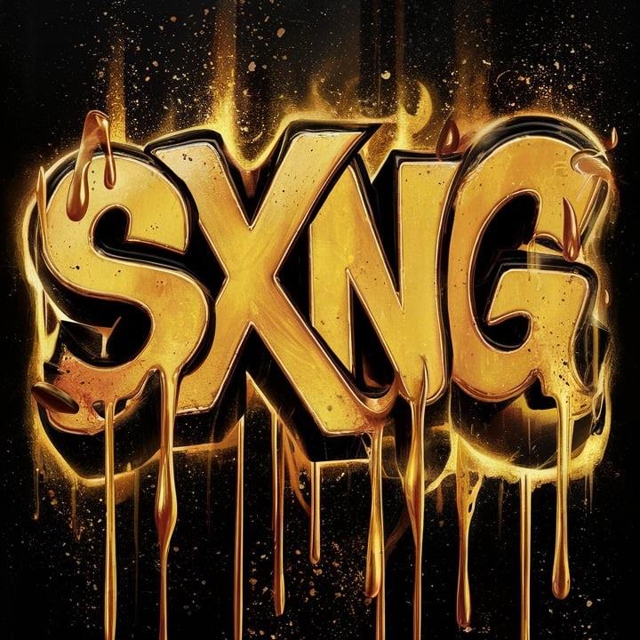 SXNG_ONE avatar