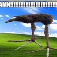 rwitl