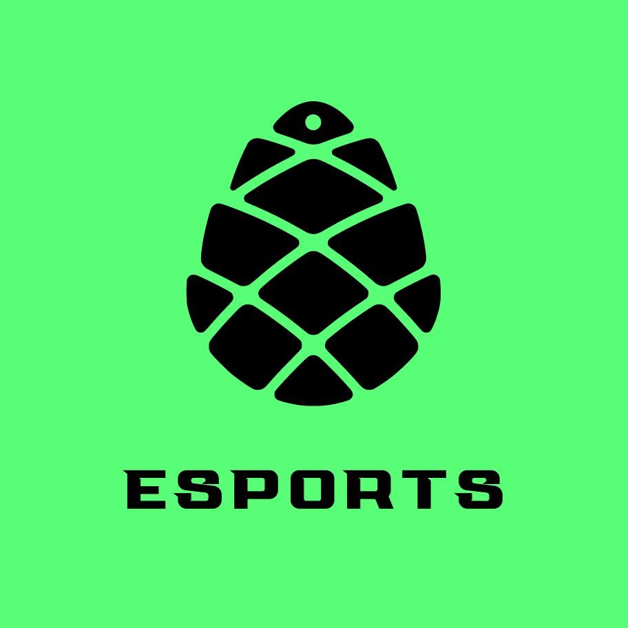 Girchi Esports