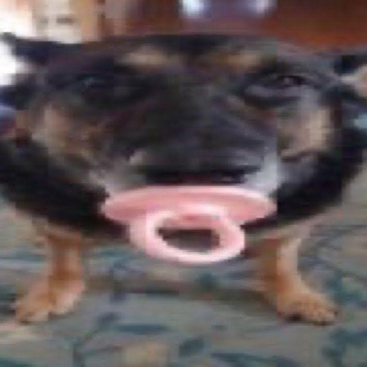 platoshkk avatar