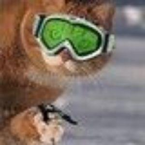 skicat avatar