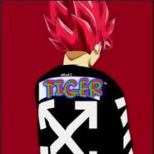 Tiger_Mis