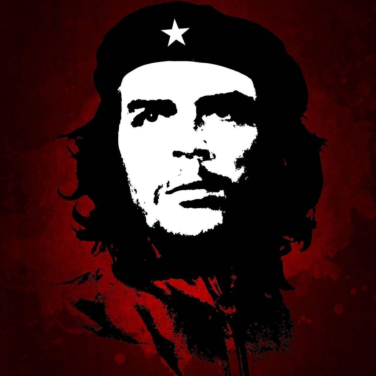 C0mandante17 avatar