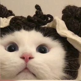 karwi13 FACEIT avatar