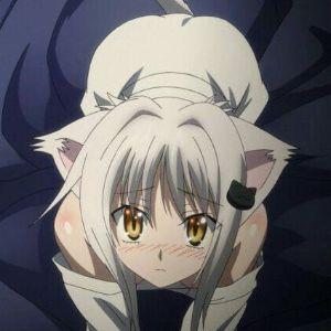 KonekoChan_ avatar