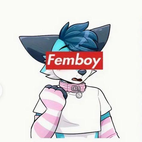 CrustyFemboy avatar