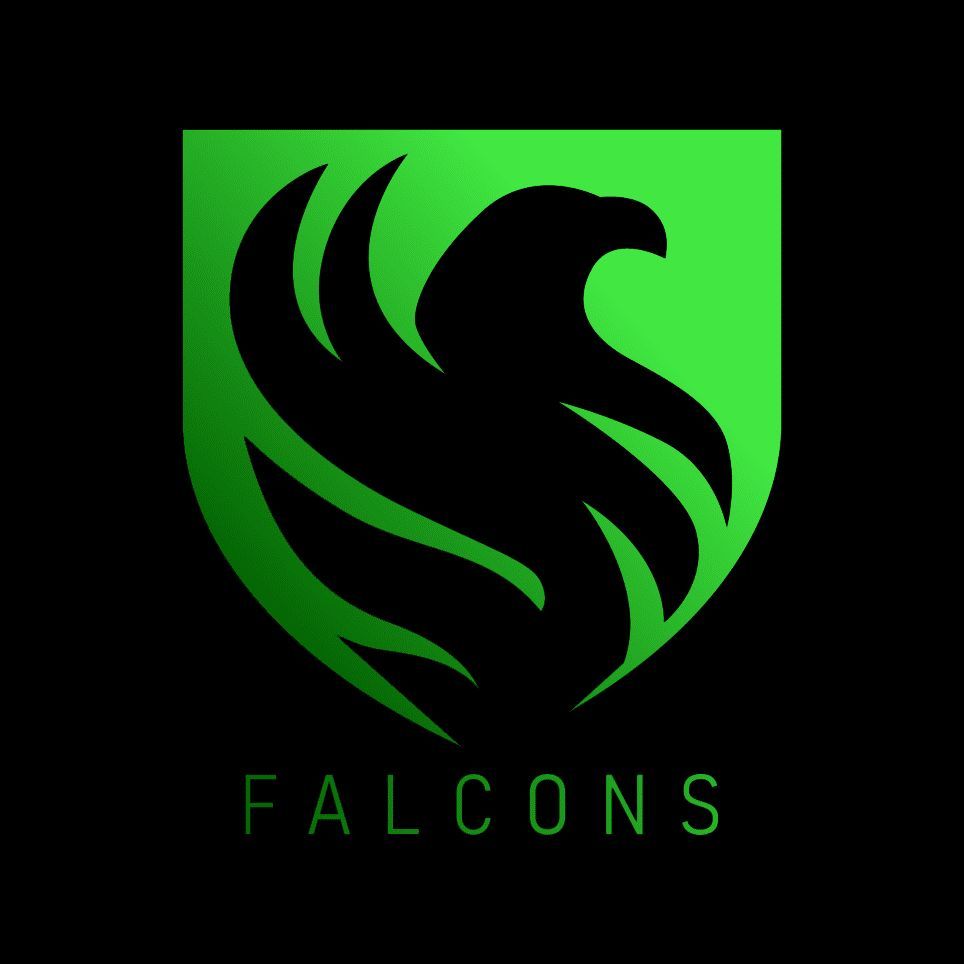 FALCON_n1