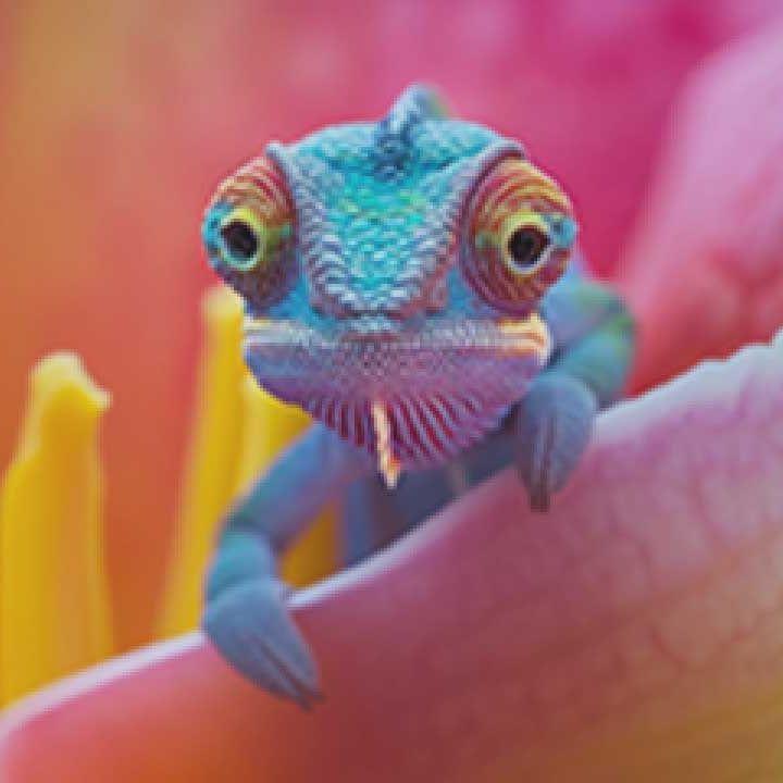 MIRKOxxl avatar